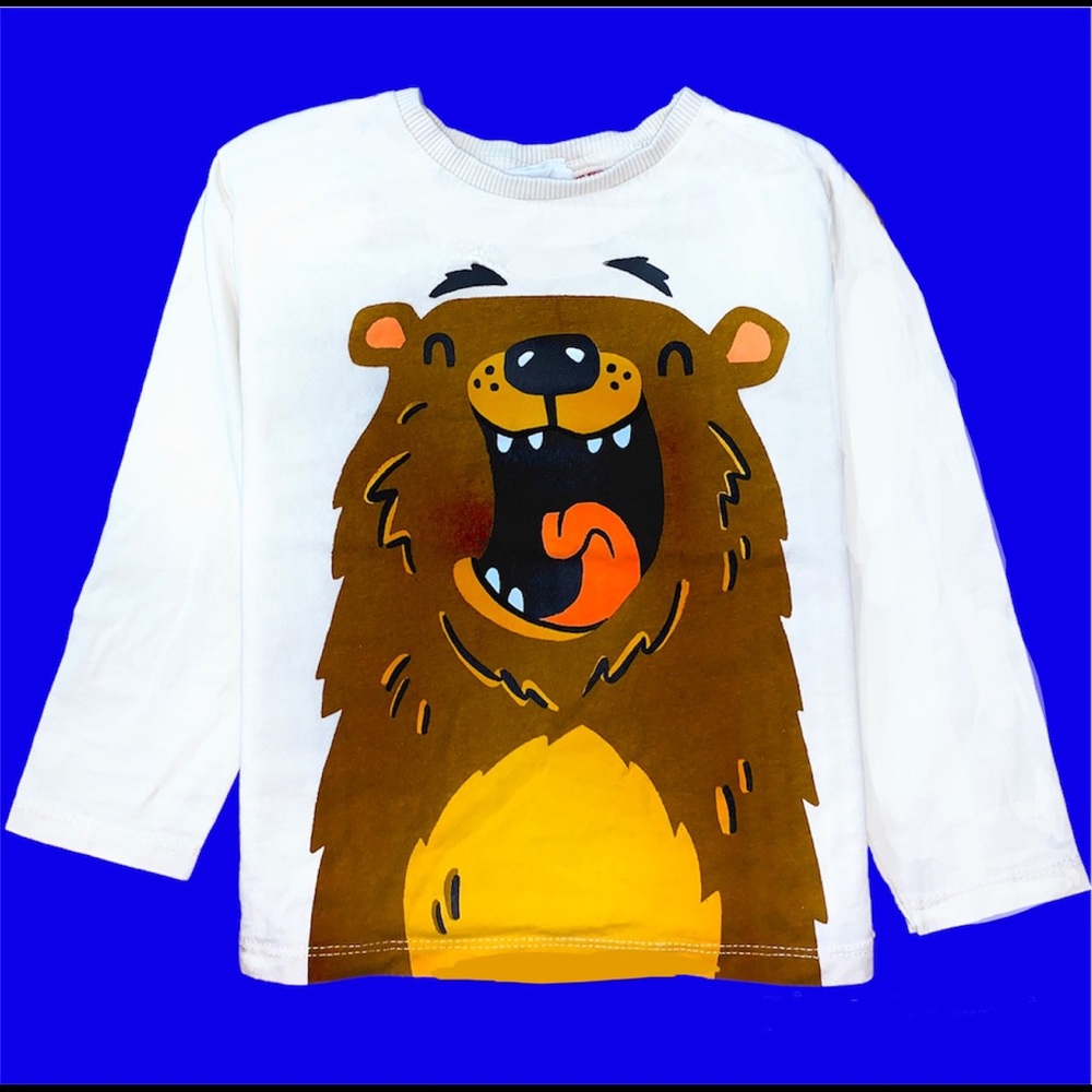 NWT Zara Tshirt Graphic Long Sleeve Shirt baby boys girls Toddlers gift
